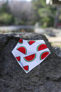 Lil Dots Dribble Bibs - Soft, Stylish & Made for Everyday Messes.